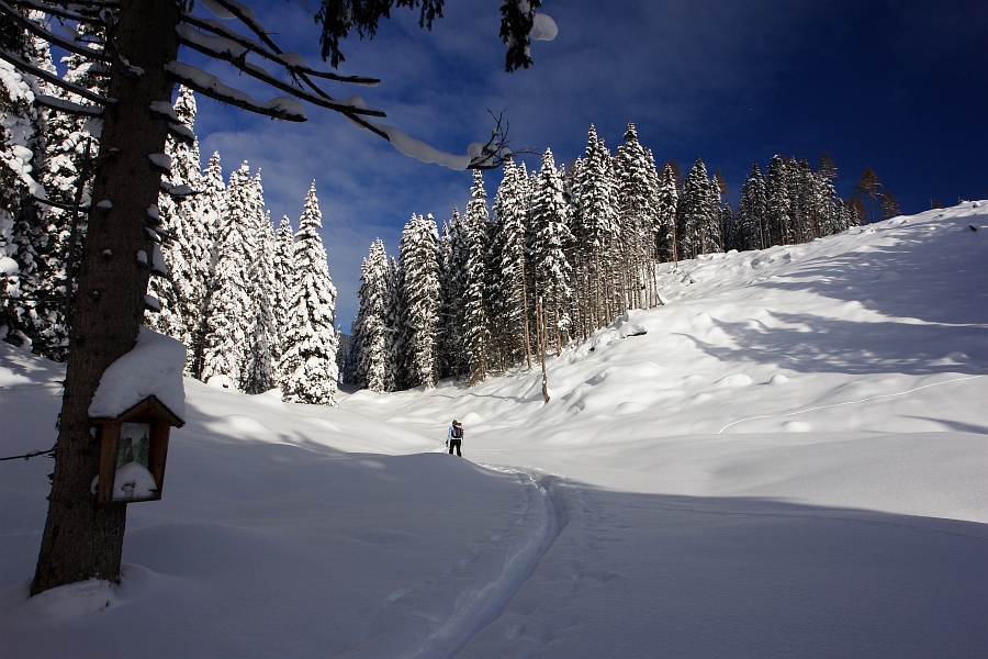 Winterwanderung zur Viehbergalm