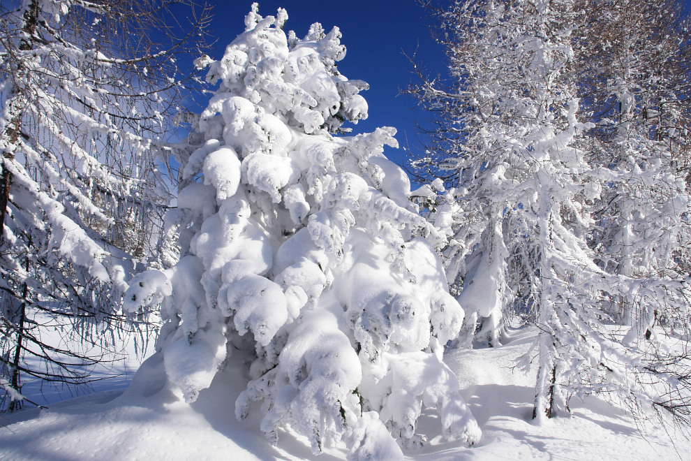 Wintertraum am Hochmhleck