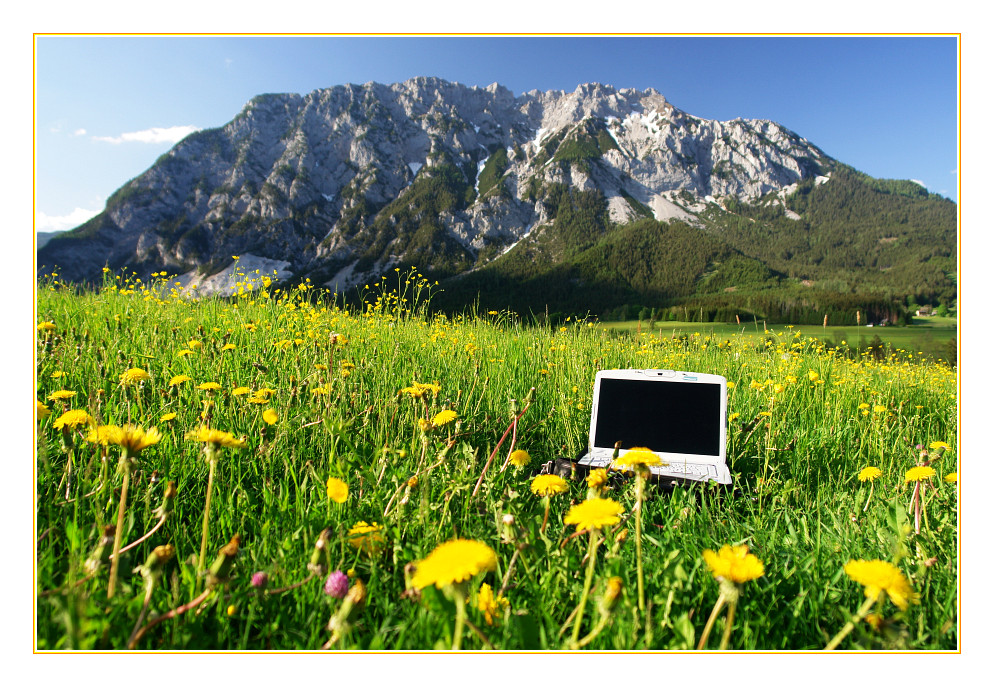 Notebook in einer Blumenwiese vor dem Kammspitz