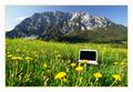 Notebook in einer Blumenwiese vor dem Kammspitz