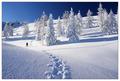 Märchenhafter Winterwald am Weg auf das Gumpeneck