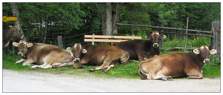 Wann kommt hier der n�chste Bus