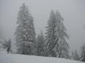 Schneesturm am Stoderzinken