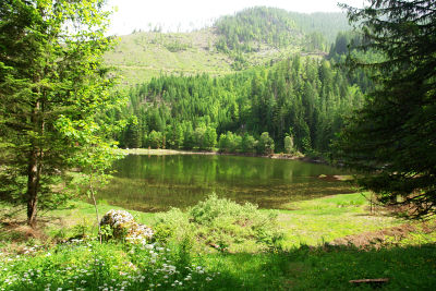 Beim etwas verwachsenen Windhagersee