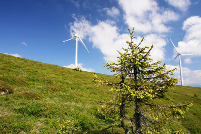 Windräder im Umfeld der Klosterneuburger Hütte