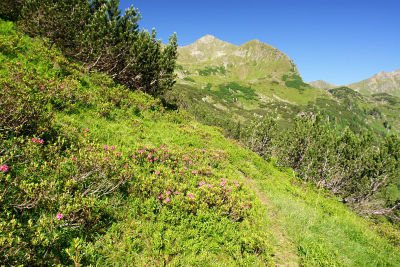 Blick vom Schimpelrücken auf den Schönkarlspitz