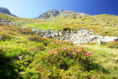 Die Nordseite des Schimpelspitz. Der Aufstieg erfolgt über den Westgrat (rechts).