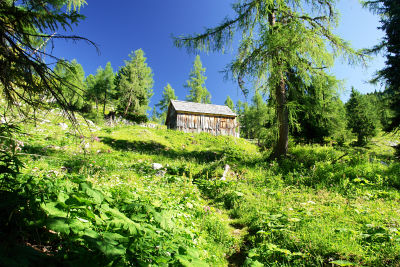 Die Gößler Alm ist erreicht