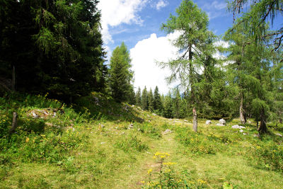 Am Gipfelplateau zum Gipfelkreuz