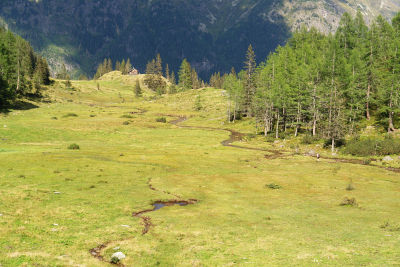 Am Almboden zur Jagdhütte