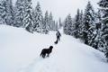 Im Tiefschnee zur Hohen Trett