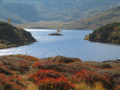 Herbstfarben am Giglachsee