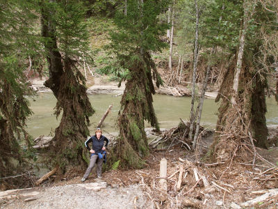 Meterhoch sind die Bäume mit Schlamm überzogen