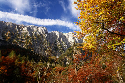 Prächtige Herbstfarben am Weg zur Jochalm