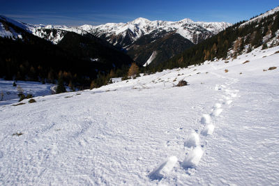 Oberhalb der Baumgrenze Richtung Osten