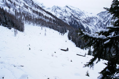 Angenehmes Abwärtsgleiten zu den Hütten der Labeckalm