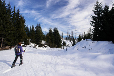 Unterwegs am Plateau: Wald, Lichtungen, Gräben und Hügel
