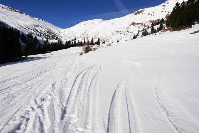 Zahlreiche Schispuren in das Almgebiet