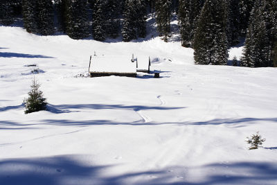 Abstieg zur Grössingeralm
