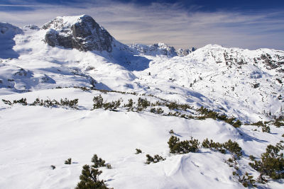 Gipfelblick vom Gamskogel