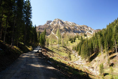 Am Weg zur Auhofalm - vor uns die Gabel (Kitzstein)