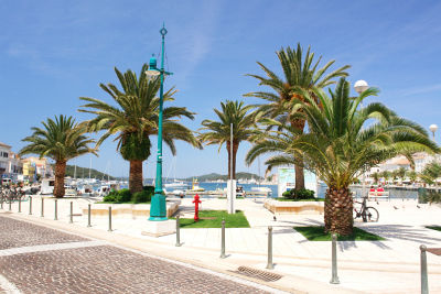 Palmen am Hafen von Mali Losinj