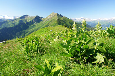 Herrlicher Ausblick vom Kreuzkogel