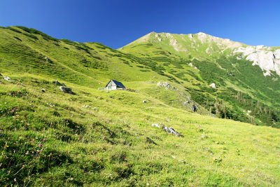 Bei der Krumpalm