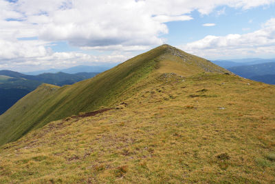 Am Weg vom Bruderkogel zum Steinermandl