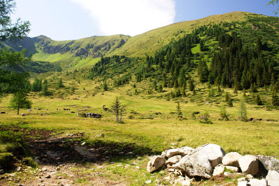 Im Ochsenkar. Darüber Seekarspitze und Große Rübe.