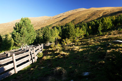 Von der Waldgrenze zur Dorferalm