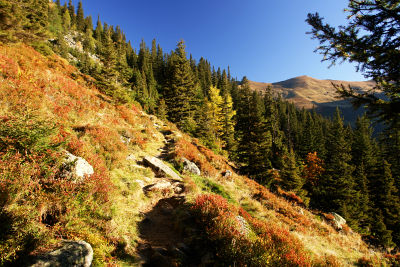 Herbstfarben beim Aufstieg zum Unteren Kaltenbachsee