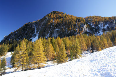 Von der Postalm zum Braunedlkogel