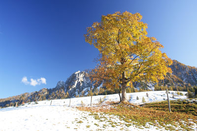 Bei der Einbergalm am Übergang zwischen Herbst und Winter