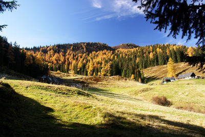 Bei der Schwarzbeeralm