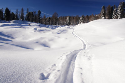 Am Weg von der Neubergalm zur Hochstube