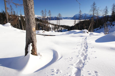 Blick über das nebelverhangene Salzkammergut zum Grimming