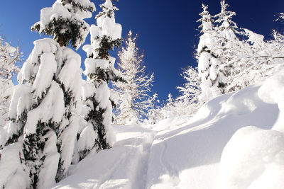 Eine Wintermärchenlandschaft