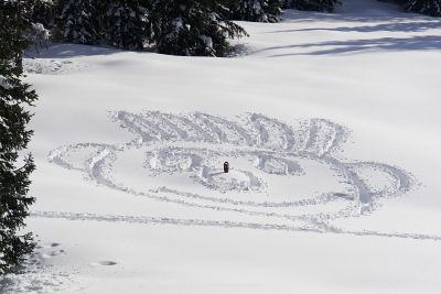 Schneegesicht mit Schneeschuh-Nasenspitze