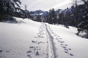 Wolfnalmspitze