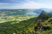 Schober