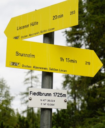 Fiedelbrunn