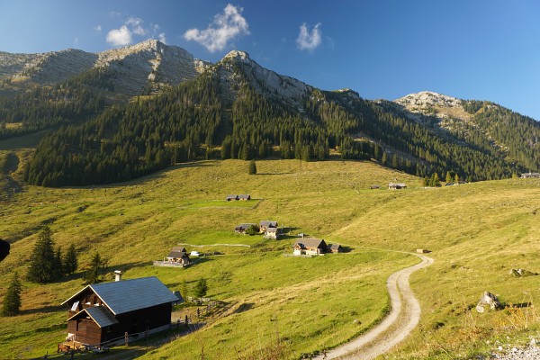 Die Hinteregger Alm am Nachmittag beim Nachhauseweg