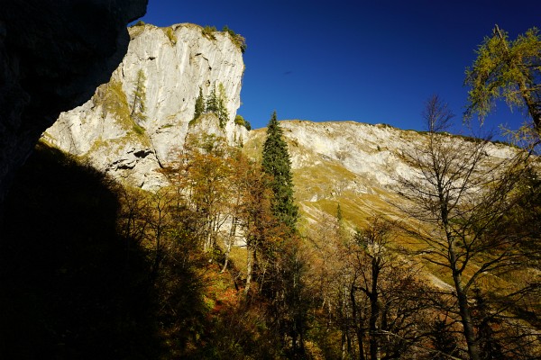 Auf den Wiesenhängen nach dem Draußengatterl habe ich bis jetzt noch immer Gämse gesehen