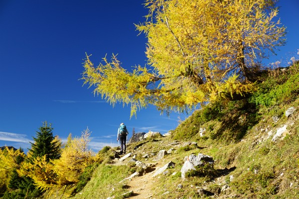 Entspannungswanderung in großartiger Herbst-Landschaft