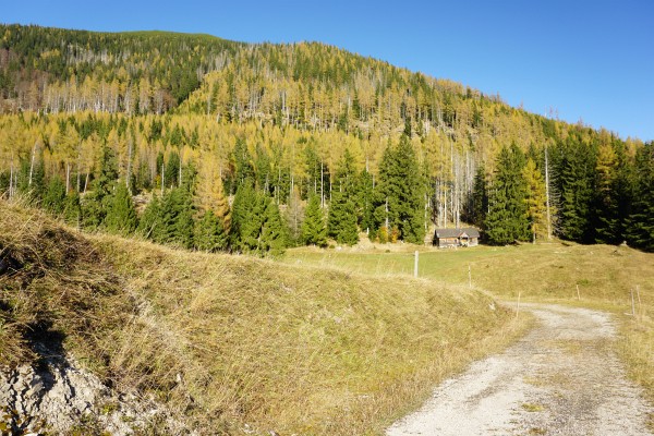 Weingartalm