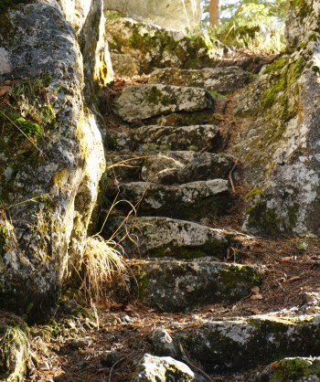 Die letzten Meter auf den Aicherlstein