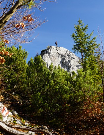 Die AlpenYetin am Feiglstein