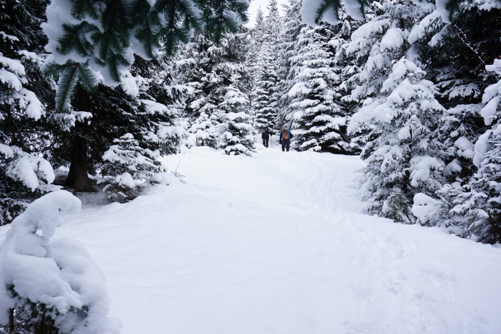 Aufstieg durch den Winterwald. Im unteren Bereich konnten die Schneeschuhe noch am Rucksack bleiben.