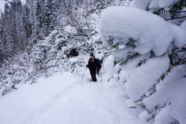 Spurarbeit von der Langpoltenalm zum Hochtor. Die uns nachfolgenden Schitourengeher würden hier aber wohl nicht ohne Kratzer an den Toureschi runterkommen.